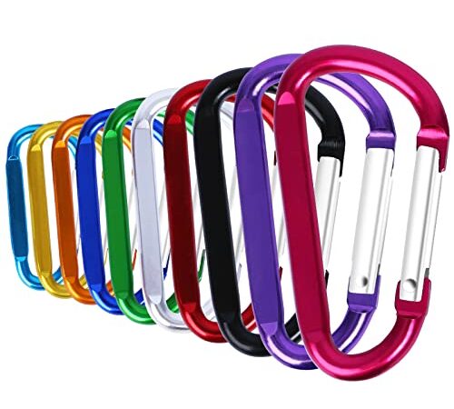 Lot de 10 Mousqueton Alliage D'aluminium Mousqueton D Crochet Clip Porte-clés Multicoulor Mousqueton pour Camping Randonnée ou Voyage Sac à Dos