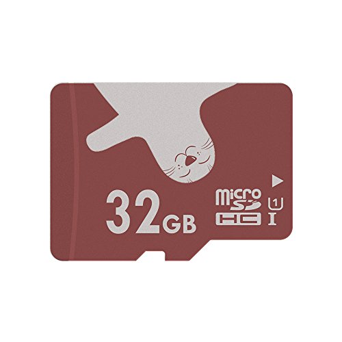 30 Meilleur micro sd 32 en 2024 [Basé sur 50 avis d’experts]