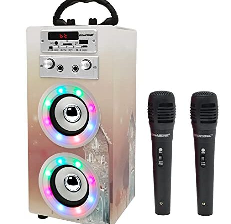 DYNASONIC - (3e génération Haut-Parleur Bluetooth Portable avec Mode karaoké et Microphone, Radio FM et Lecteur USB SD (Model 19)