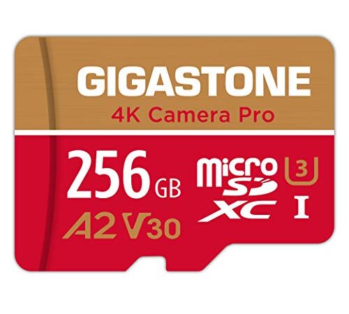 Gigastone [5 Ans Récupération de données Gratuite] Carte Mémoire 256 Go 4K Caméra Pro, Compatible avec GoPro Drone Switch, Vitesse 100 Mo/s. 4K Vidéo, A2 U3 V30 Carte Micro SDXC avec Adaptateur SD.