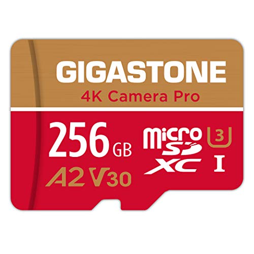 30 Meilleur carte micro sd 256 go en 2024 [Basé sur 50 avis d’experts]